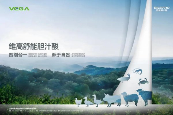 天金策略 猪鸡销量创历史新高，温氏2024年赚92亿，今年一季度赚20亿，负债率连续连续四个季度下降