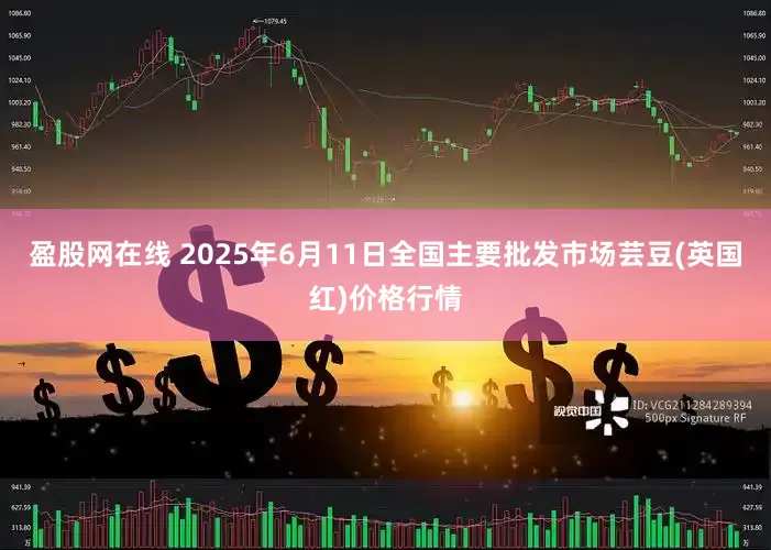 盈股网在线 2025年6月11日全国主要批发市场芸豆(英国红)价格行情